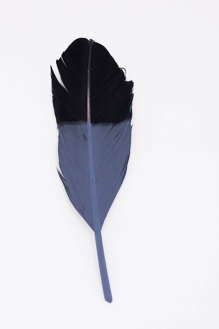 Painted Hat Feather - Blue
