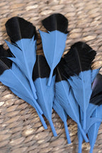 Painted Hat Feather - Blue - Flea Style